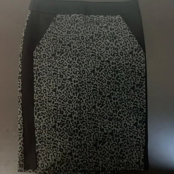 Leopard Print Skirt - Picture 1 of 4